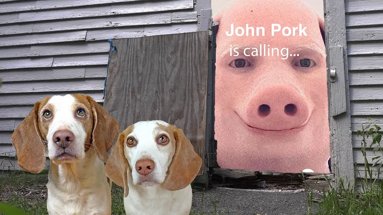 Dogs Find John Pork in Creepy Barn!