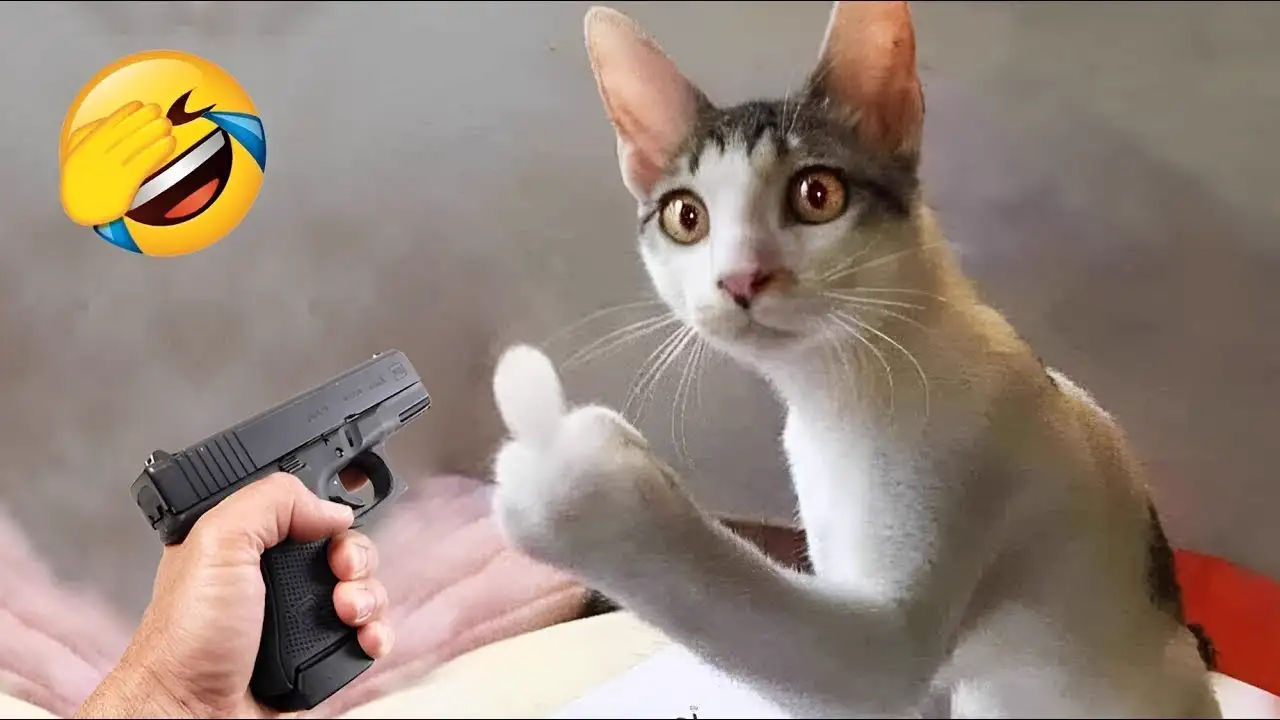 Funny animals will brighten your day instantly! ๐