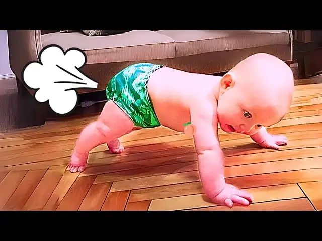 The Best Funny Babies on the Internet! - Funny Baby Videos